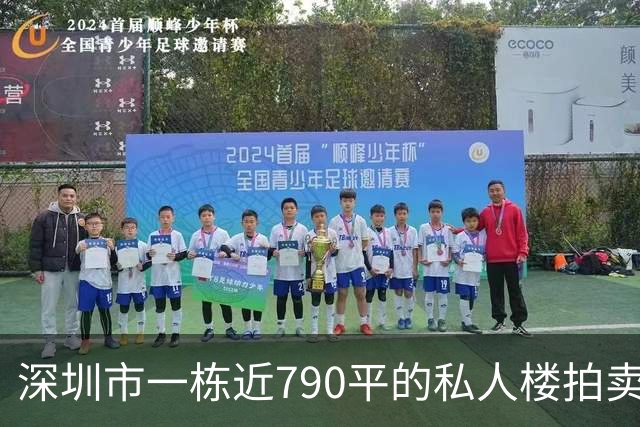 深圳市一栋近790平的私人楼拍卖，被人755万元拿下了